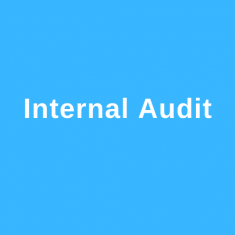 Internal Audit