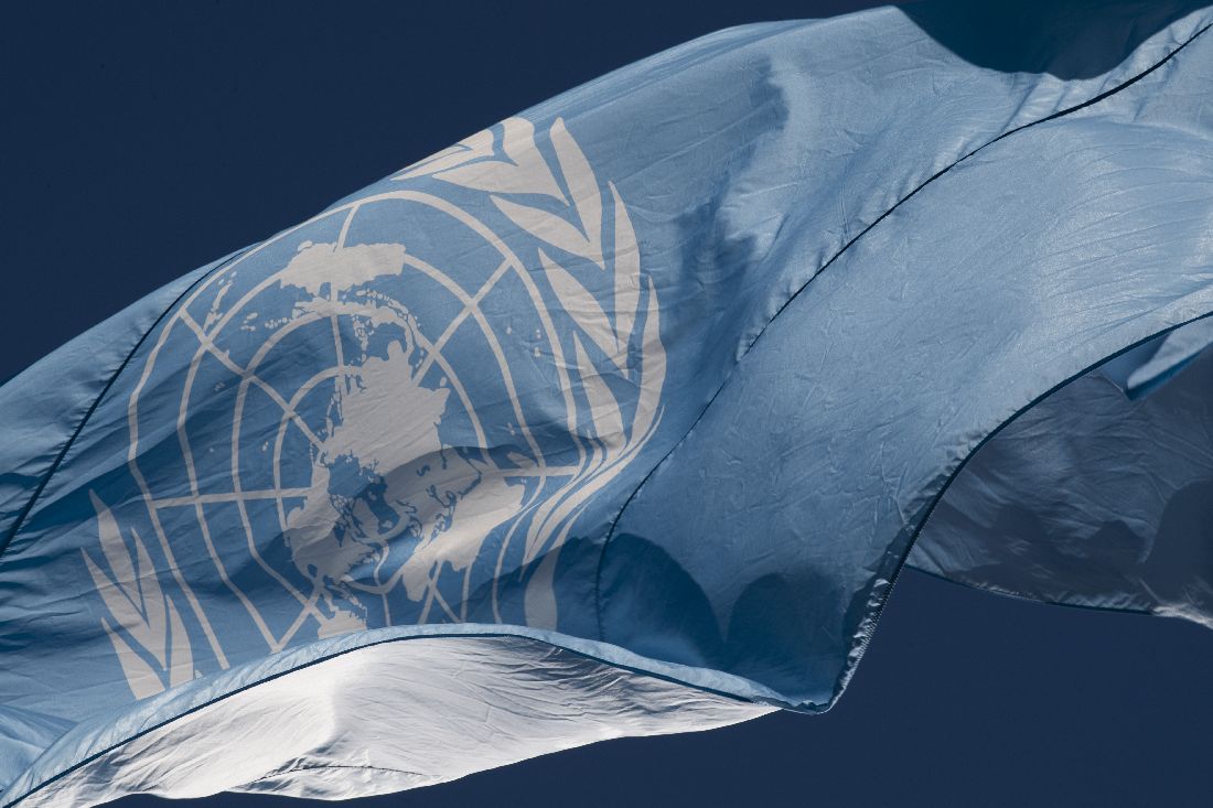 UN Photo by Evan Schneider, UN flag